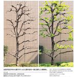 第74回全国カレンダー展